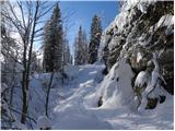 Koča pri Savici - Planina Lopučnica